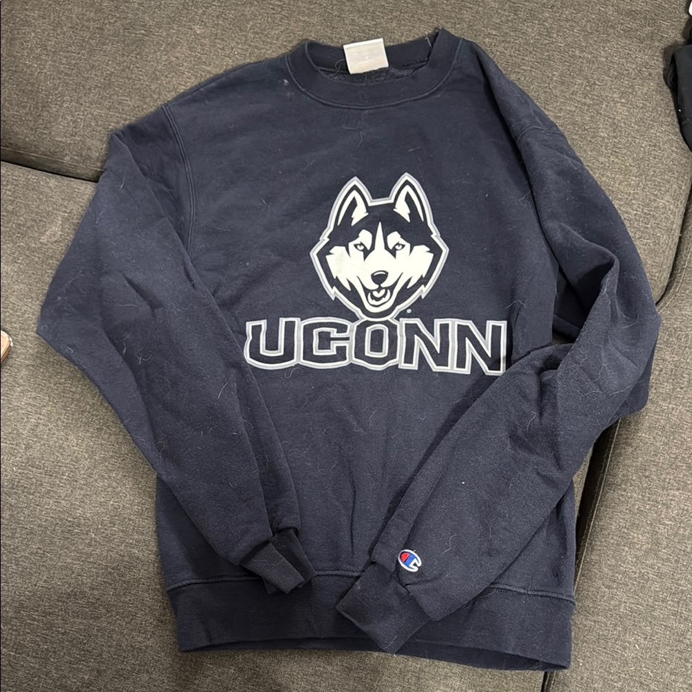Champion Blue Crewneck Sweater